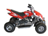 Quad Bike